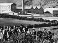Ross and Glendining, 1879