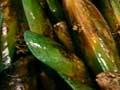 Green-lipped mussels for sale