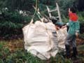 Picking up equipment and birds