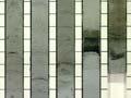 Sediment cores