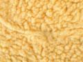 Multivirile flatworm