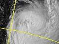Cyclone Ivy