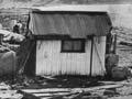 Turihaua Point, 1947 
