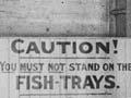 Fish market, Wellington