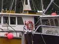 Audio: Fishing boats, Milford Sound