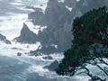 Cuvier Island