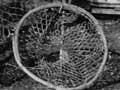 Fishing nets and traps