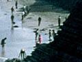 Mass stranding
