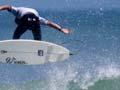 Champion surfers 