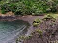 Northland’s coastline 