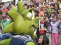 Northland rugby mascot