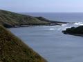 Whāngāpē Harbour