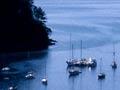 Boats in the Bay of Islands