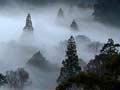Fog, North East Valley, Dunedin