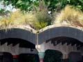 Kawakawa public toilets 