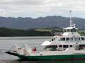 Crossing the Hokianga