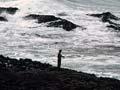 Fishing from the rocks