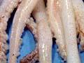 Squid products