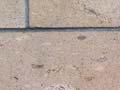 Hinuera ignimbrite 