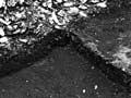 Shell midden
