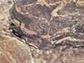 Gneissic rocks