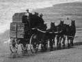 Tolaga Bay Coach Service