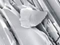Volcanic ash 