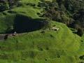 Mt Eden 