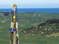Rimu-A1 well