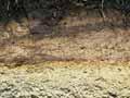 Fossil soils