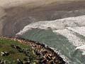 Black sand beaches near Westport