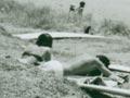 The spread of surfing
