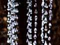 Glow-worm snares