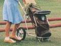 Fire hoses on the fairway