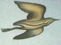 Independent Aramoana stamps