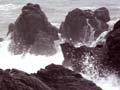 Video: Establishing pastoralism