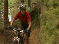 Video: Whakarewarewa Forest