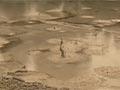 Video: Rotorua mud pools