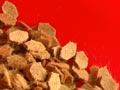 Scion biomaterials research