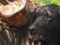 Video: Retrieving ducks