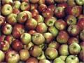 Video: Apple and Pear Marketing Board