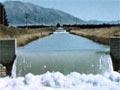 Video: Border dyke irrigation