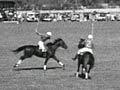 Video: Savile Cup polo final