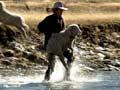 Video: One more river to cross