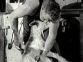 Video: First Golden Shears