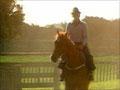 Video: Kiwi the racehorse