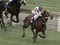 Video: Bonecrusher
