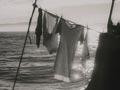 Video: Coastal shipping