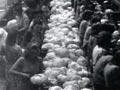 Video: Cabbages for the war