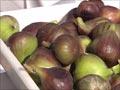 Video: Marlborough Farmers' Market